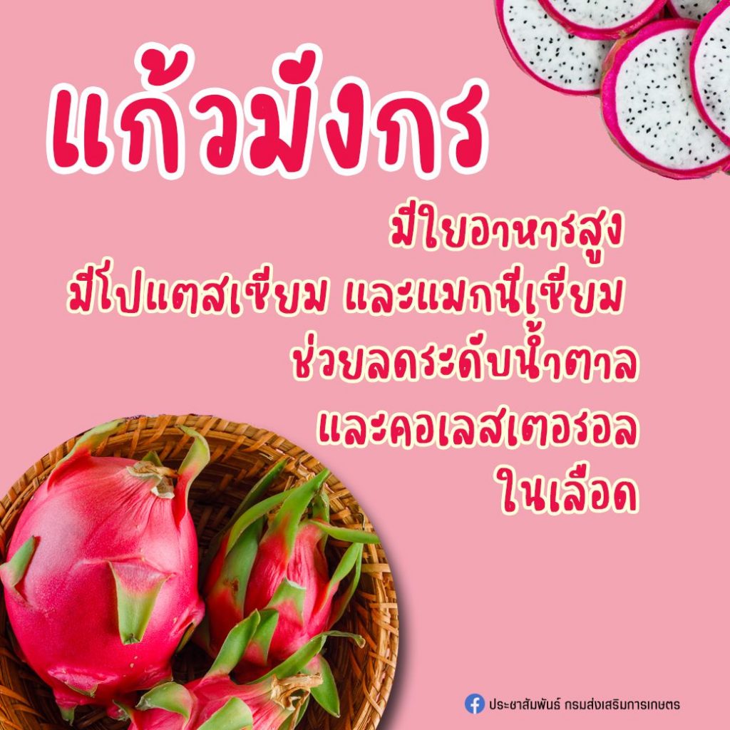 25. แก้วมังกร