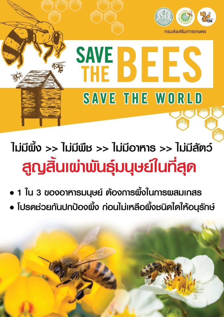 SAVE THE BEES SAVE THE WORLD