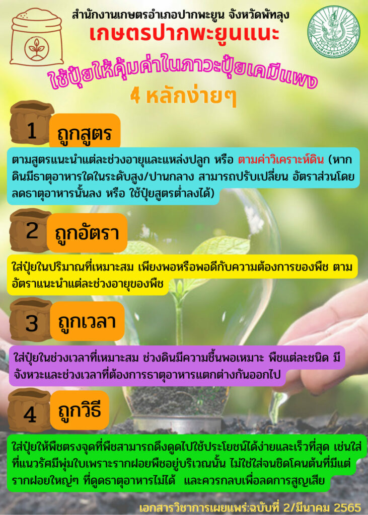 11. ใช้ปุ๋ยให้คุ้มค่าในภาวะปุ๋ยเคมีแพง