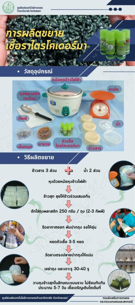 92.การผลิตขยายเชื้อราไตรโคเดอร์มา