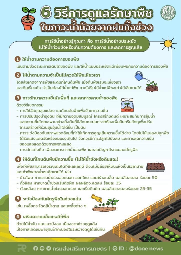 36. 6 วิธีการดูแลรักษาพืช ในภาวะน้ำน้อยจากฝนทิ้งช่วง 36. 6 วิธีการดูแลรักษาพืช ในภาวะน้ำน้อยจากฝนทิ้งช่วง