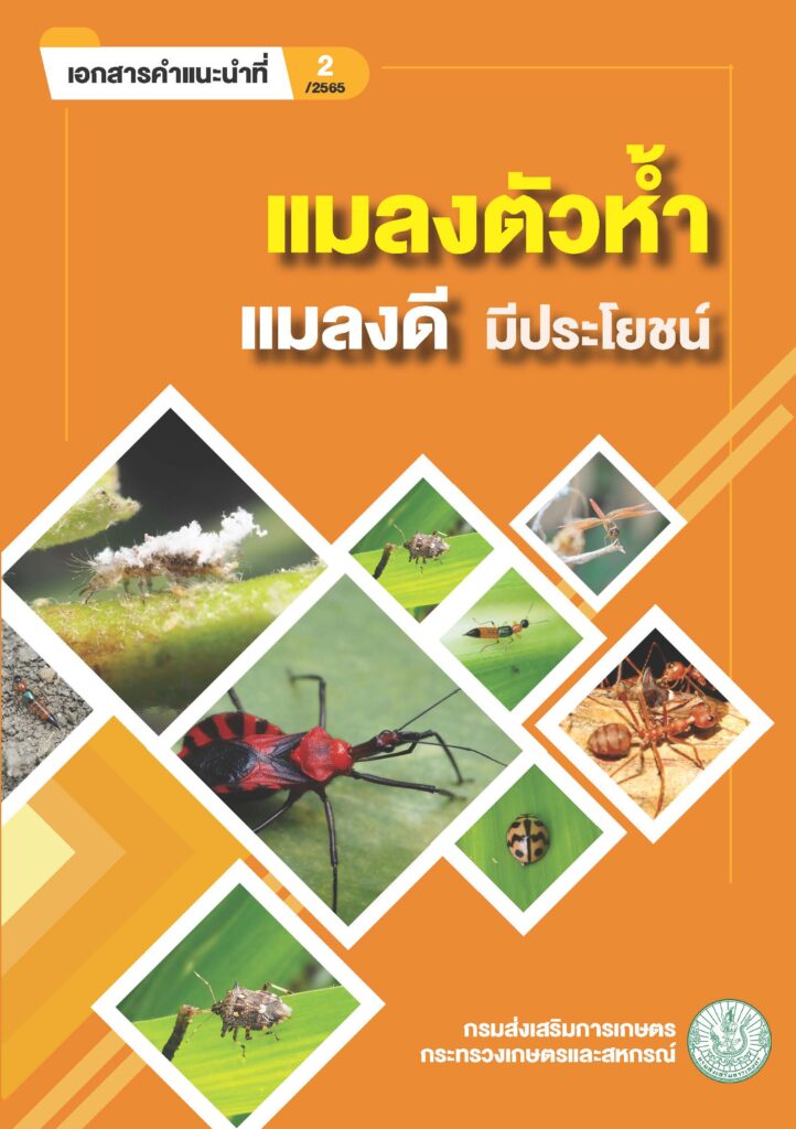 แมลงตัวห้ำ
