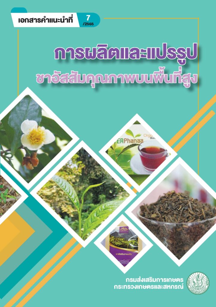 ชาอัสสัม