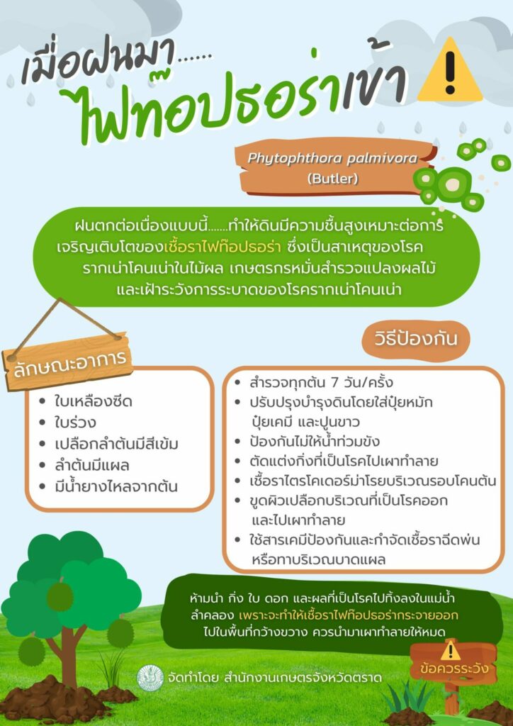 29. ไฟท๊อปธอร่า