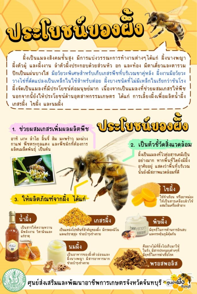 ประโยชน์ของผึ้ง