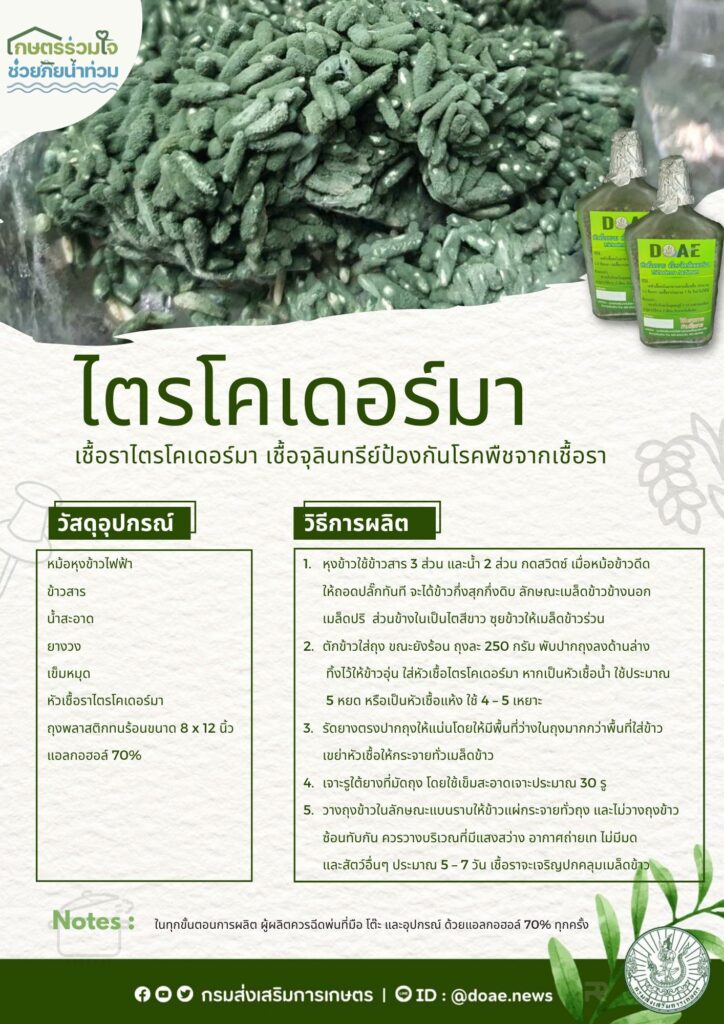 ไตรโคเดอร์มา