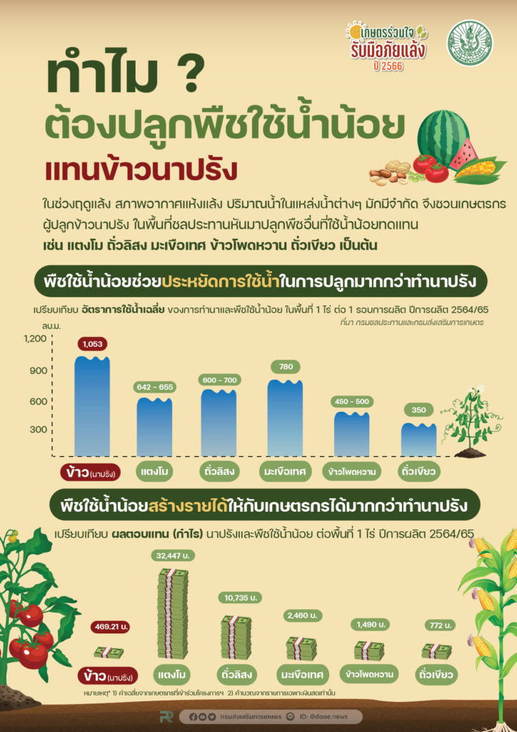 ทำไม?ต้องปลูกพืชใช้น้ำน้อยแทนข้าวนาปรัง