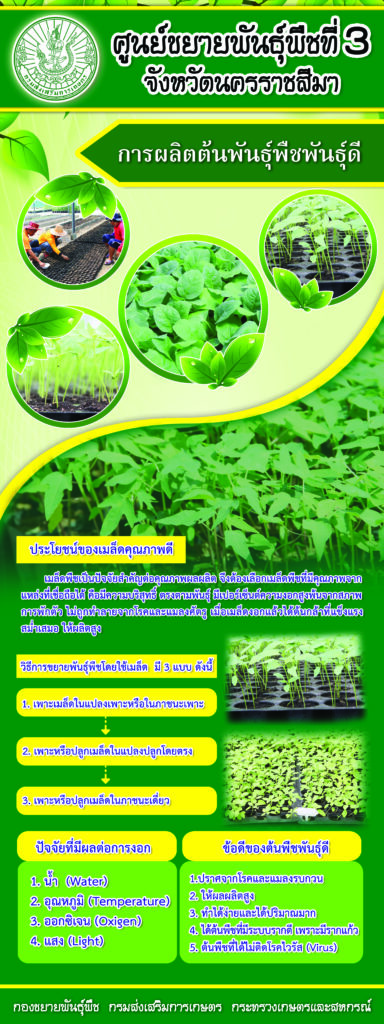 44. การผลิตต้นพันธุ์พืชพันธุ์ดี