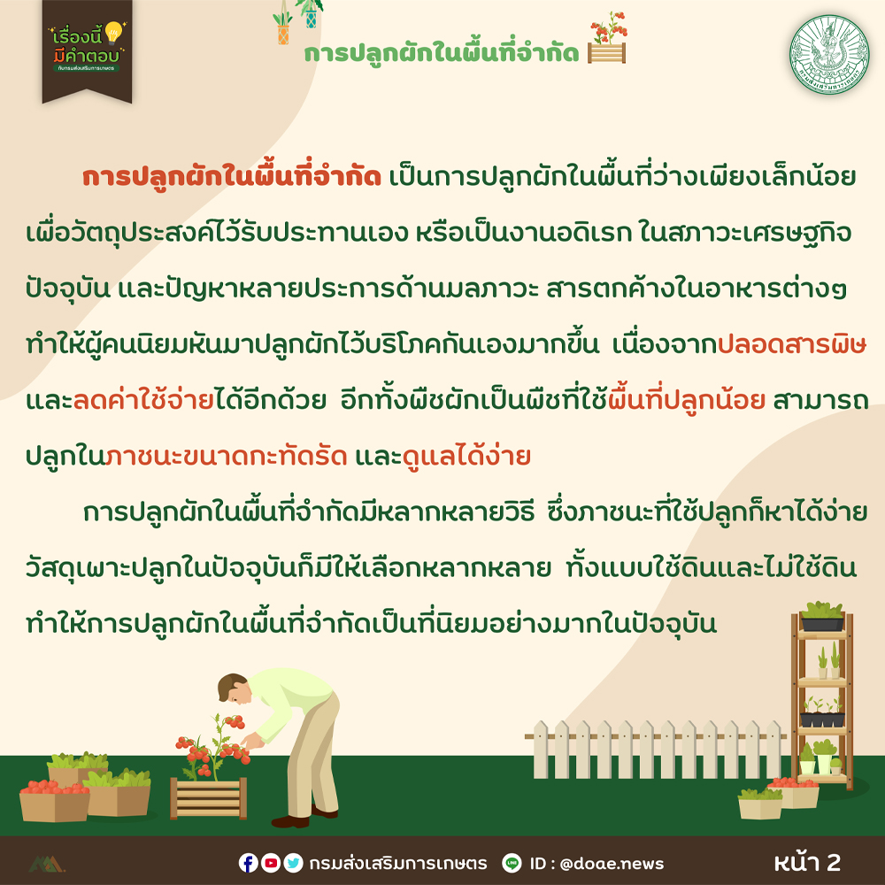 28. การปลูกผักในพื้นที่จำกัด