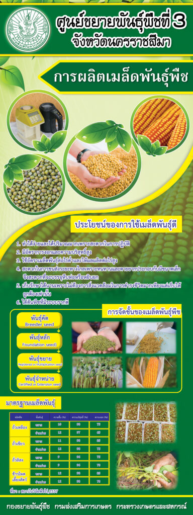 46. การผลิตเมล็ดพันธุ์พืช 46. การผลิตเมล็ดพันธุ์พืช