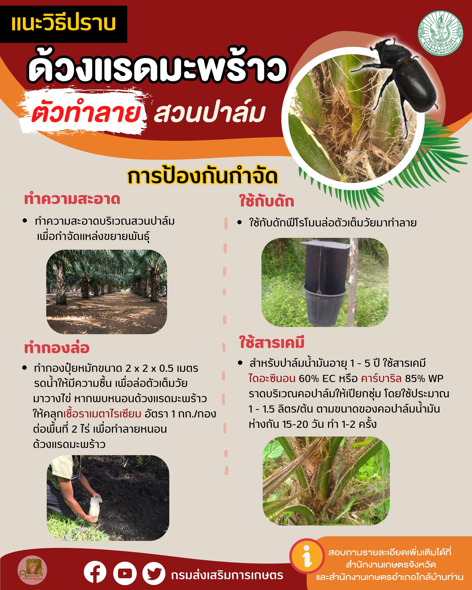 Infographic