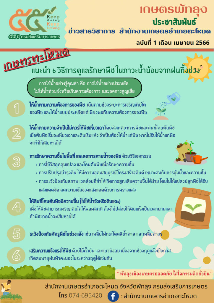 50.แนะนำ 6 วิธี การดูแลรักษาพืชในภาวะน้ำน้อยจากฝนทิ้งช่วง