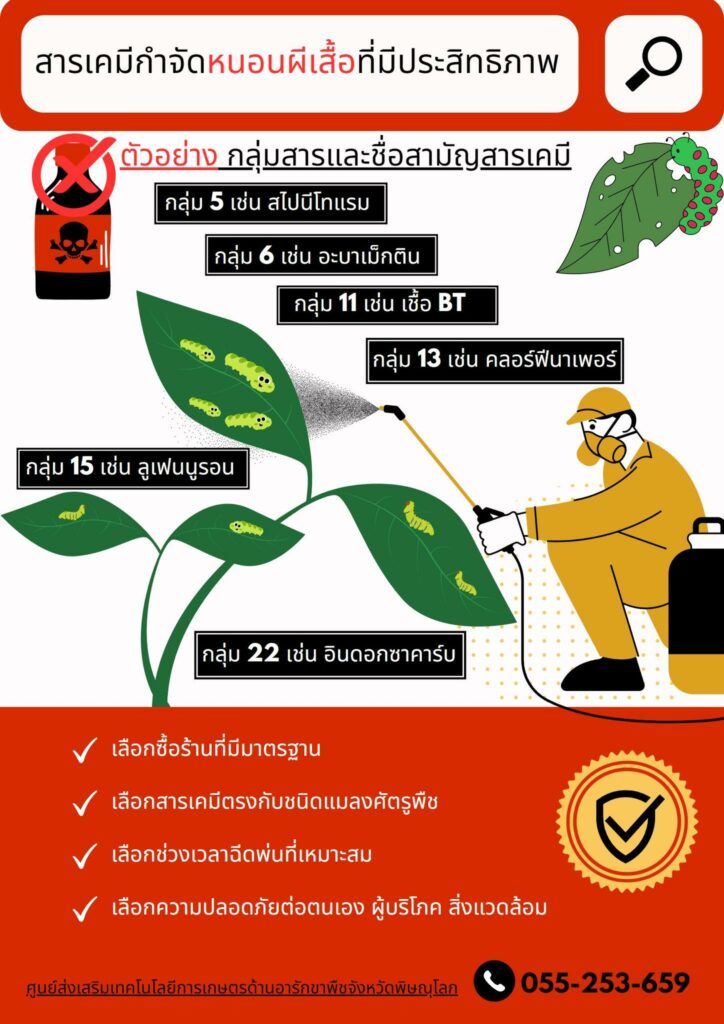 67. สารเคมีกำจัดหนอนผีเสื้อที่มีประสิทธิภาพ 67. สารเคมีกำจัดหนอนผีเสื้อที่มีประสิทธิภาพ