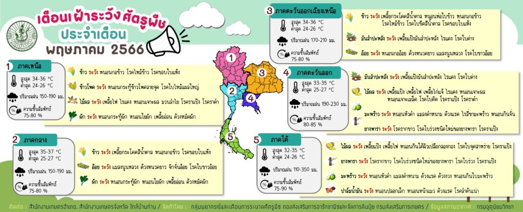 เตือนเฝ้าระวังศัตรูพืช ประจำเดือนพฤษภาคม 2566