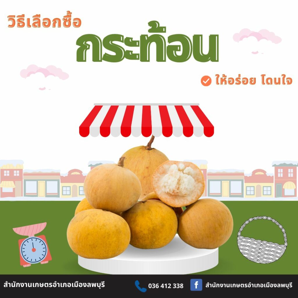 73. วิธีเลือกซื้อกระท้อน ให้อร่อย โดนใจ