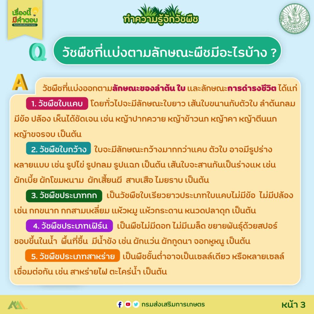 36. ป้องกันและกำจัดวัชพืชอย่างไรดี?