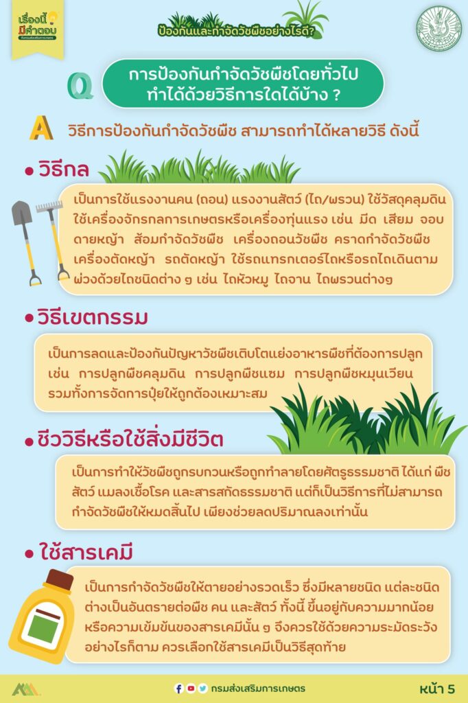 36. ป้องกันและกำจัดวัชพืชอย่างไรดี?