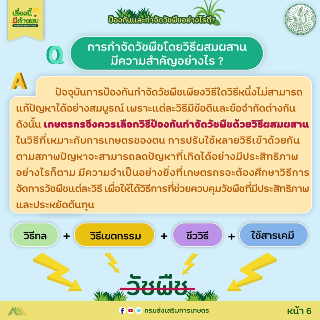 36. ป้องกันและกำจัดวัชพืชอย่างไรดี?