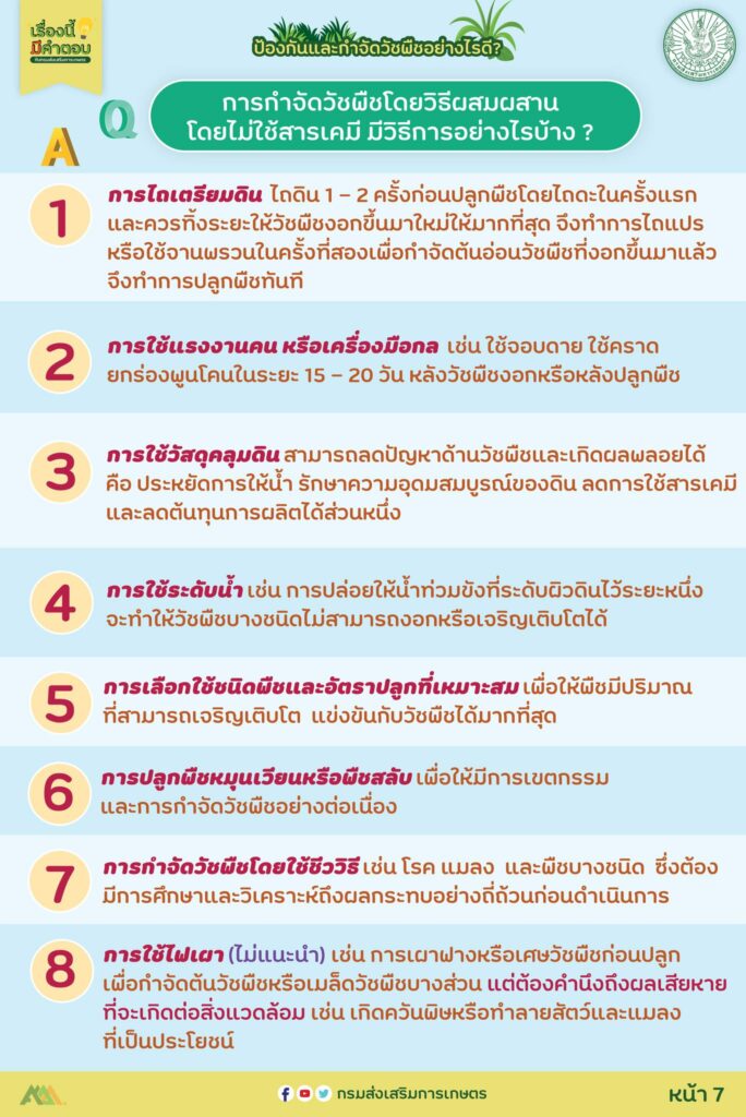 36. ป้องกันและกำจัดวัชพืชอย่างไรดี?