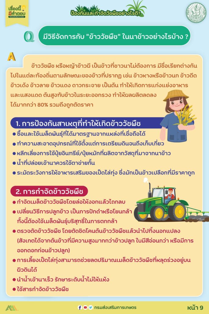 36. ป้องกันและกำจัดวัชพืชอย่างไรดี?