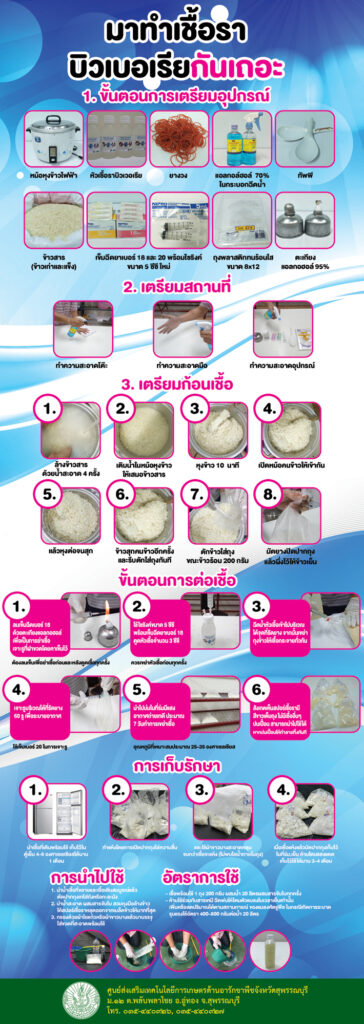 90. มาทำเชื้อราบิวเวอเรียมากันเถอะ 90. มาทำเชื้อราบิวเวอเรียมากันเถอะ