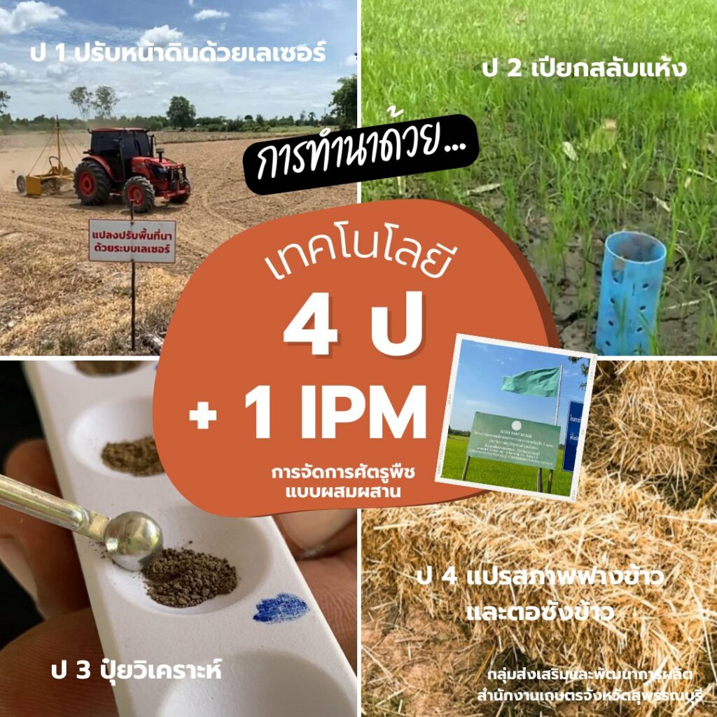 การทำนาด้วยเทคโนโลยี 4 ป. + 1 IPM