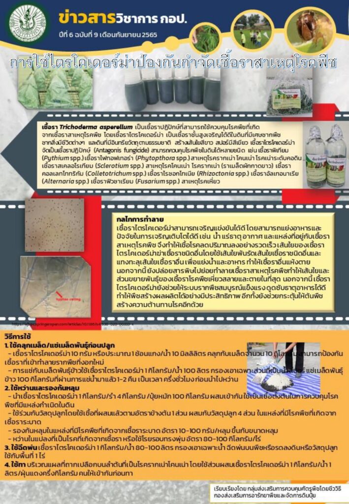 การใช้ไตรโคเดอร์ม่าป้องกันกำจัด