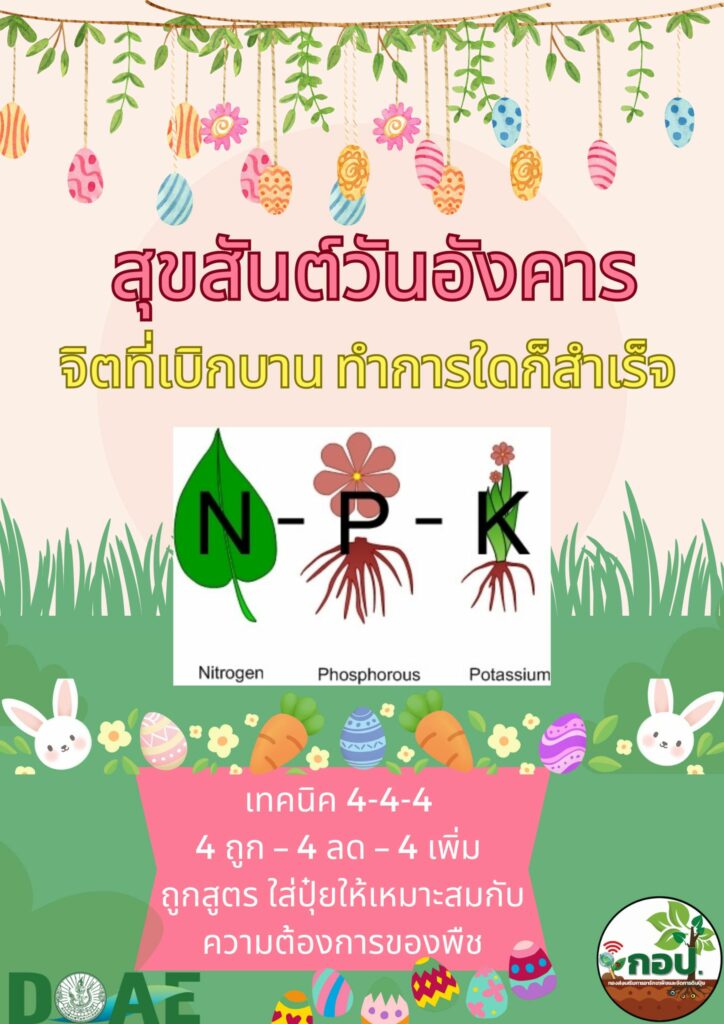 เทคนิค4-4-4จัดการดินและปุ๋ยอย่างมีประสิทธิภาพ