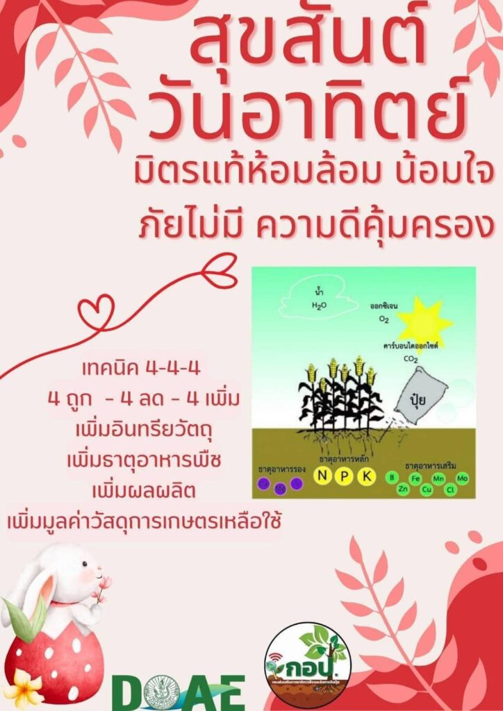 เทคนิค4-4-4จัดการดินและปุ๋ยอย่างมีประสิทธิภาพ