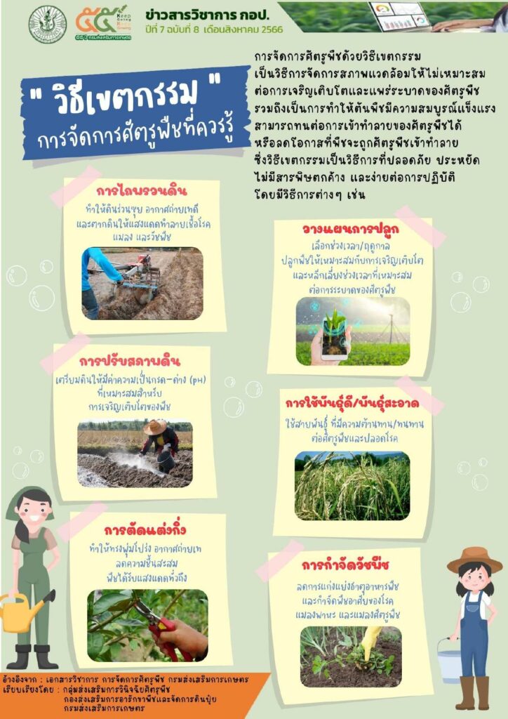 วิธีเขตกรรมการจัดการศัตรูพืชที่ควรรู้