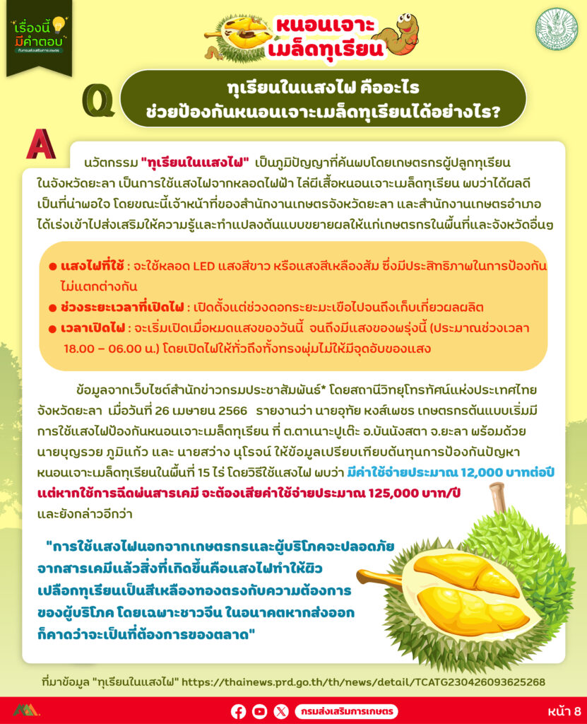 39. หนอนเจาะเมล็ดทุเรียน