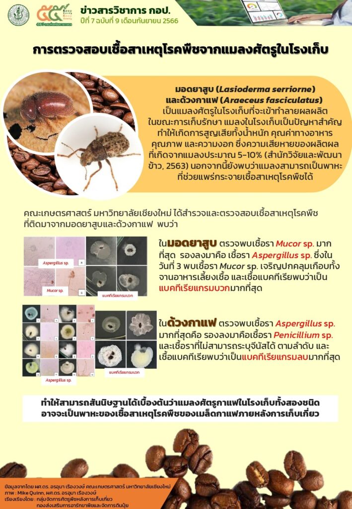 การตรวจสอบเชื้อสาเหตุโรคพืชจากแมลงศัตรูในโรงเก็บ