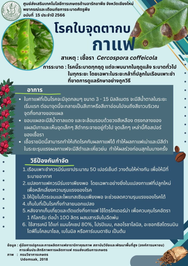 โรคใบจุดตากบกาแฟ โรคใบจุดตากบกาแฟ
