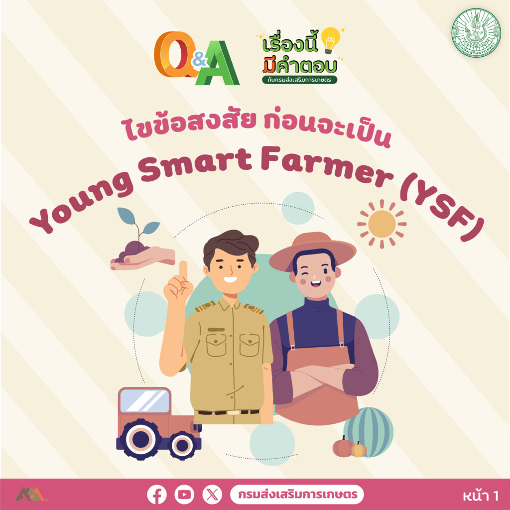 young smart farmer