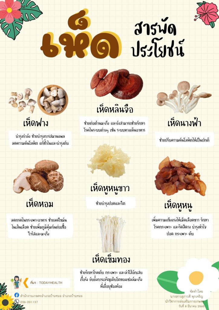 เห็ดสารพัดประโยชน์