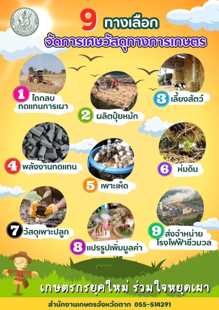 9 ทางเลือกจัดการเศษวัสดุทางการเกษตร