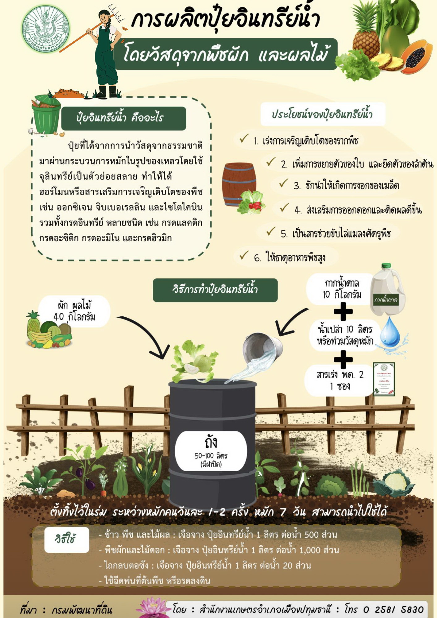 Infographic