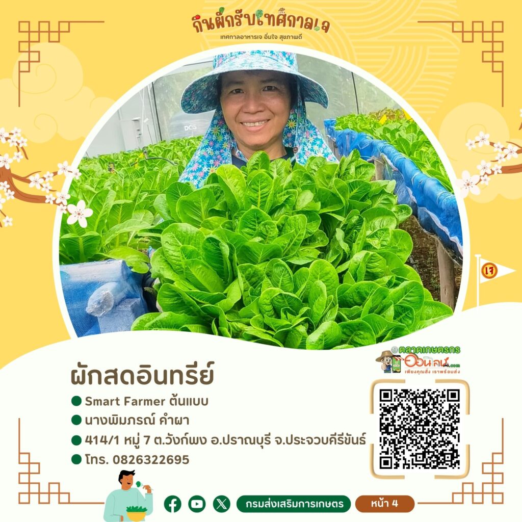 ผักสดอินทรีย์