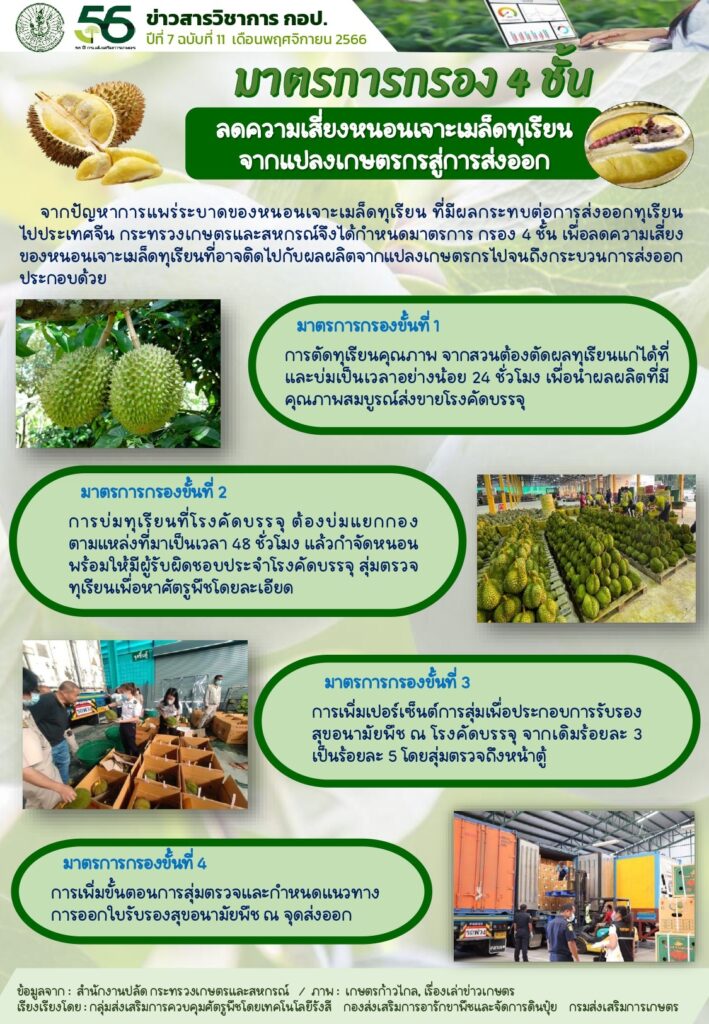 ลดความเสี่ยงหนอนเจาะเมล็ดทุเรียน