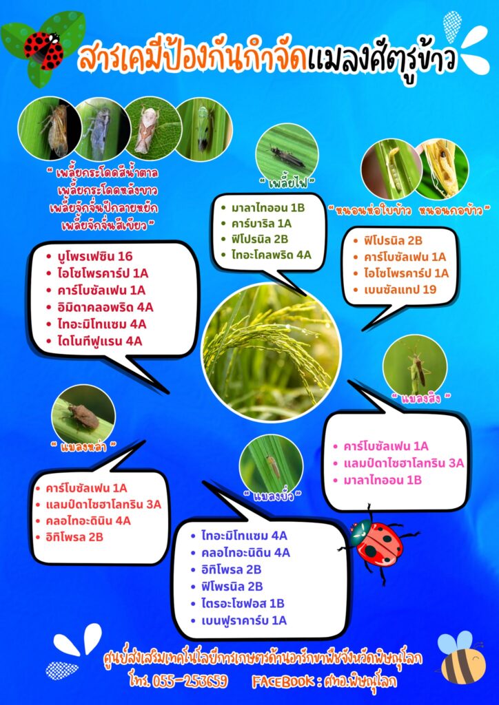 สารเคมีป้องกันกำจัดโรคข้าว