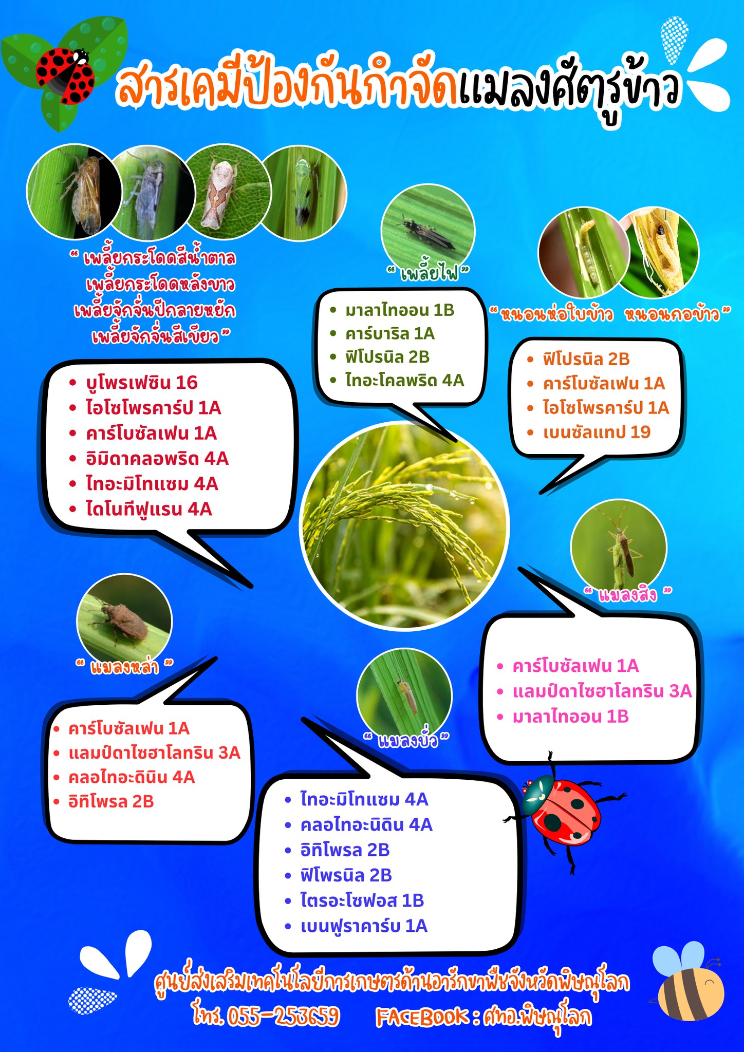 Infographic