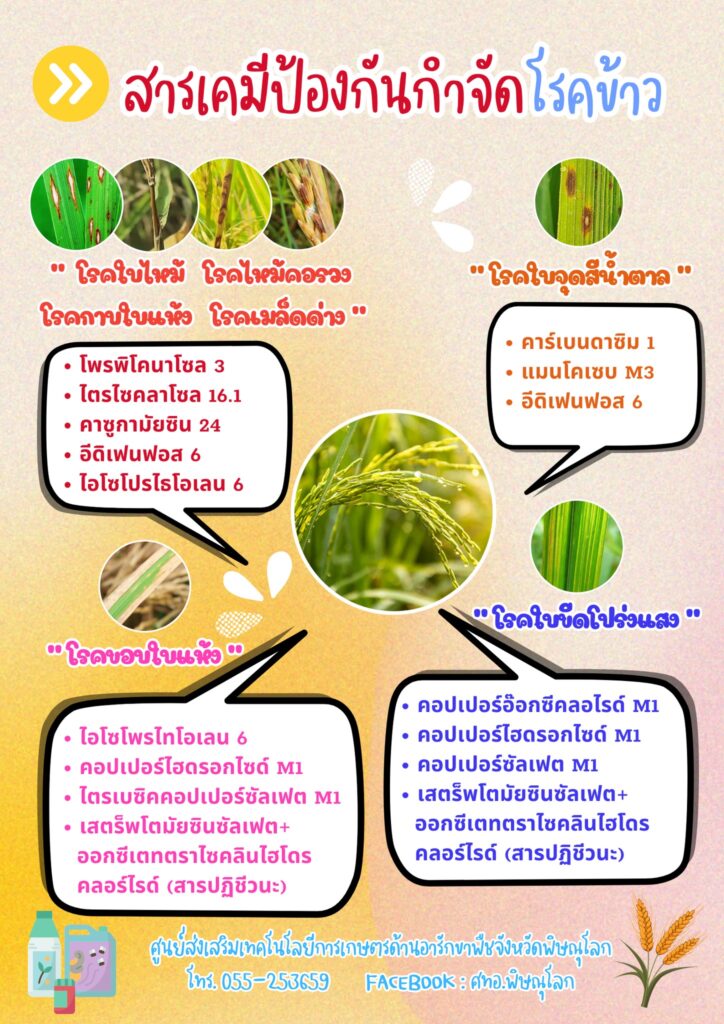 สารเคมีป้องกันกำจัดโรคข้าว