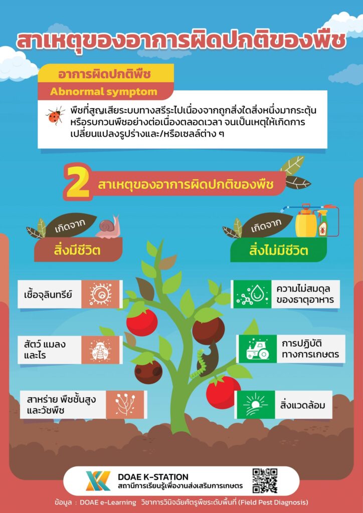 สาเหตุของอาการผิดปกติของพืช