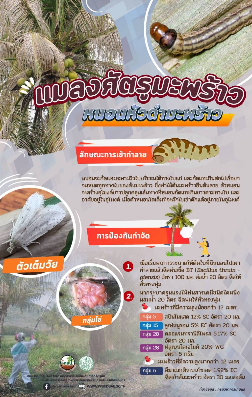 ศูนย์วิทยบริการเพื่อส่งเสริมการเกษตร - version - 2