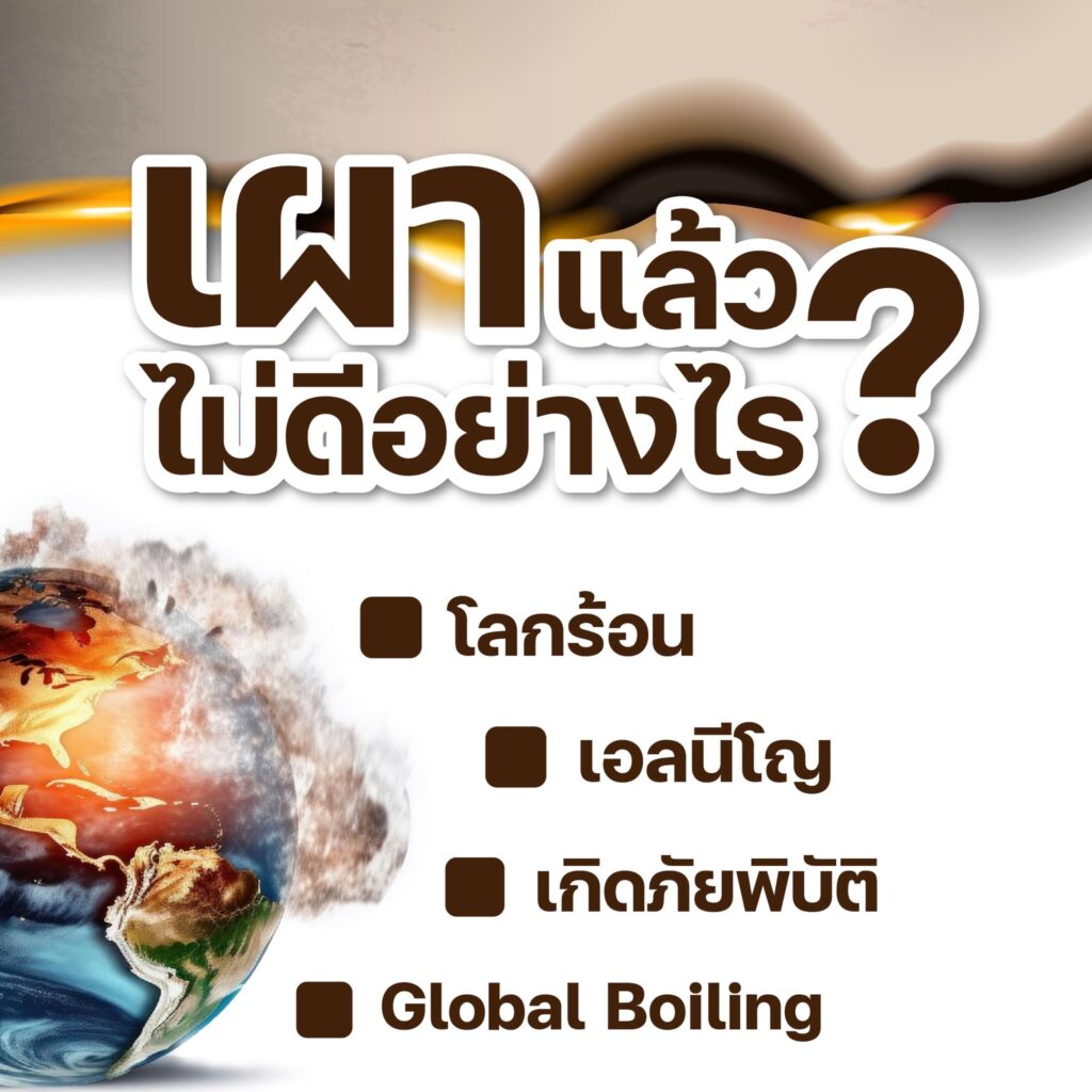 เผาแล้วไม่ดีอย่างไร?