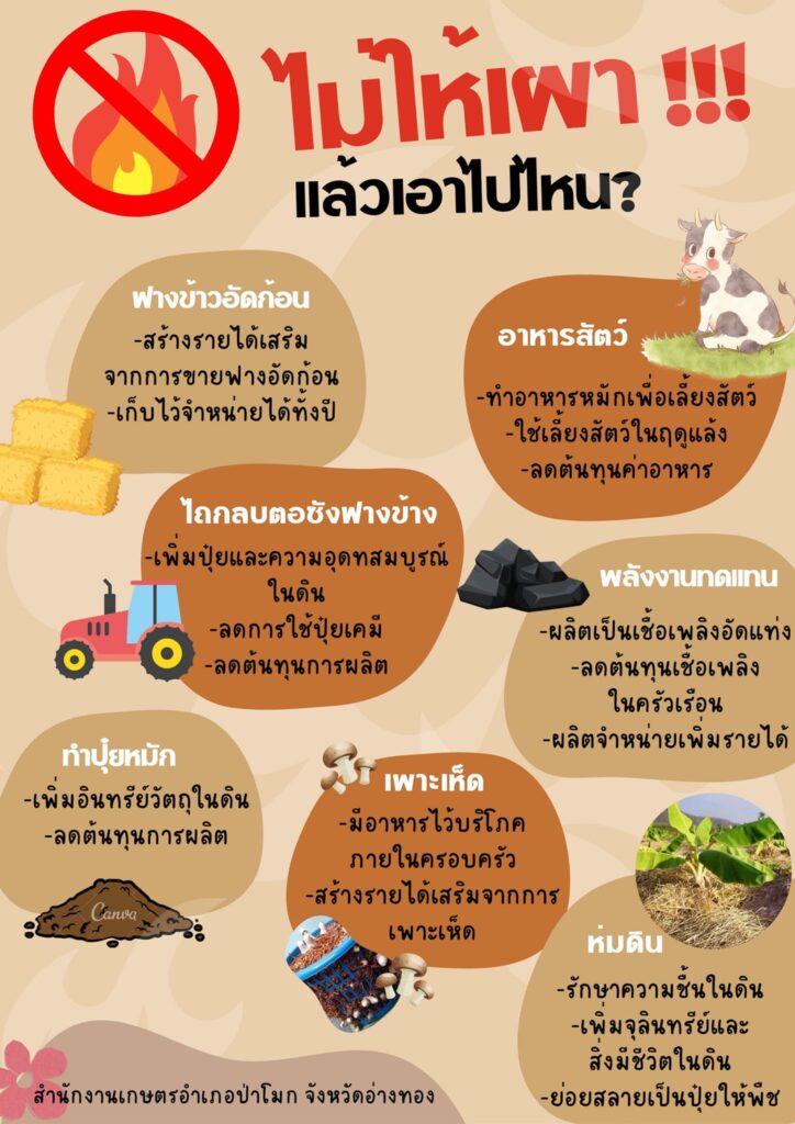 ไม่ให้เผาแล้วเอาไปไหน? ไม่ให้เผาแล้วเอาไปไหน?