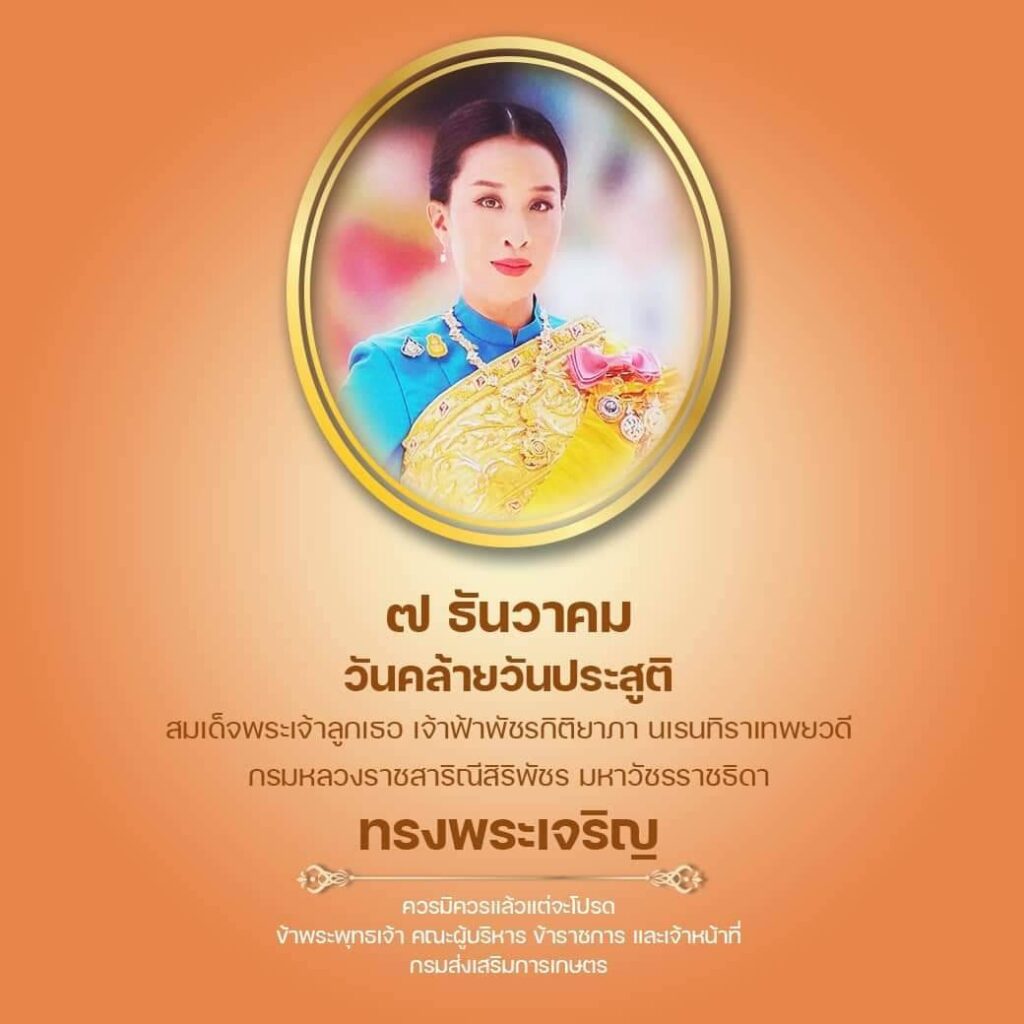 ๗ ธันวาคม วันคล้ายวันประสูติสมเด็จพระเจ้าลูกเธอ เจ้าฟ้าพัชรกิติยาภาฯ