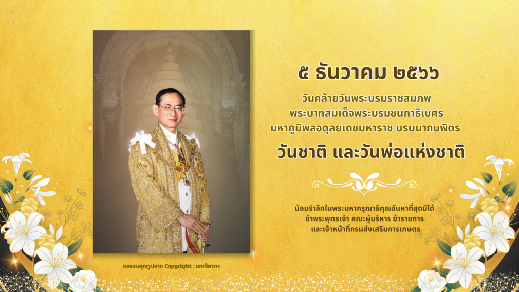๕ ธันวาคม ๒๕๖๖ ๕ ธันวาคม ๒๕๖๖