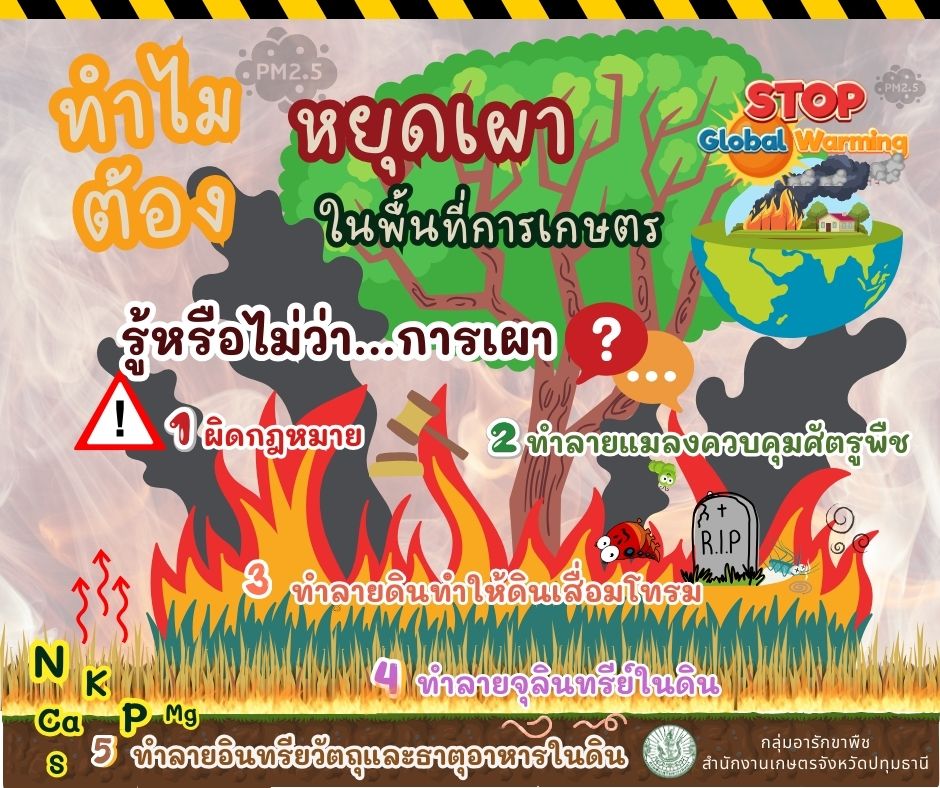 หยุดเผาในพื้นที่การเกษตร
