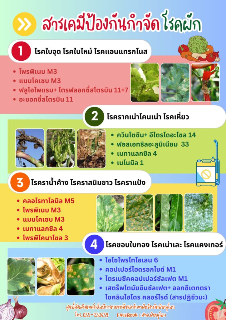 สารเคมีป้องกันกำจัดโรคผัก